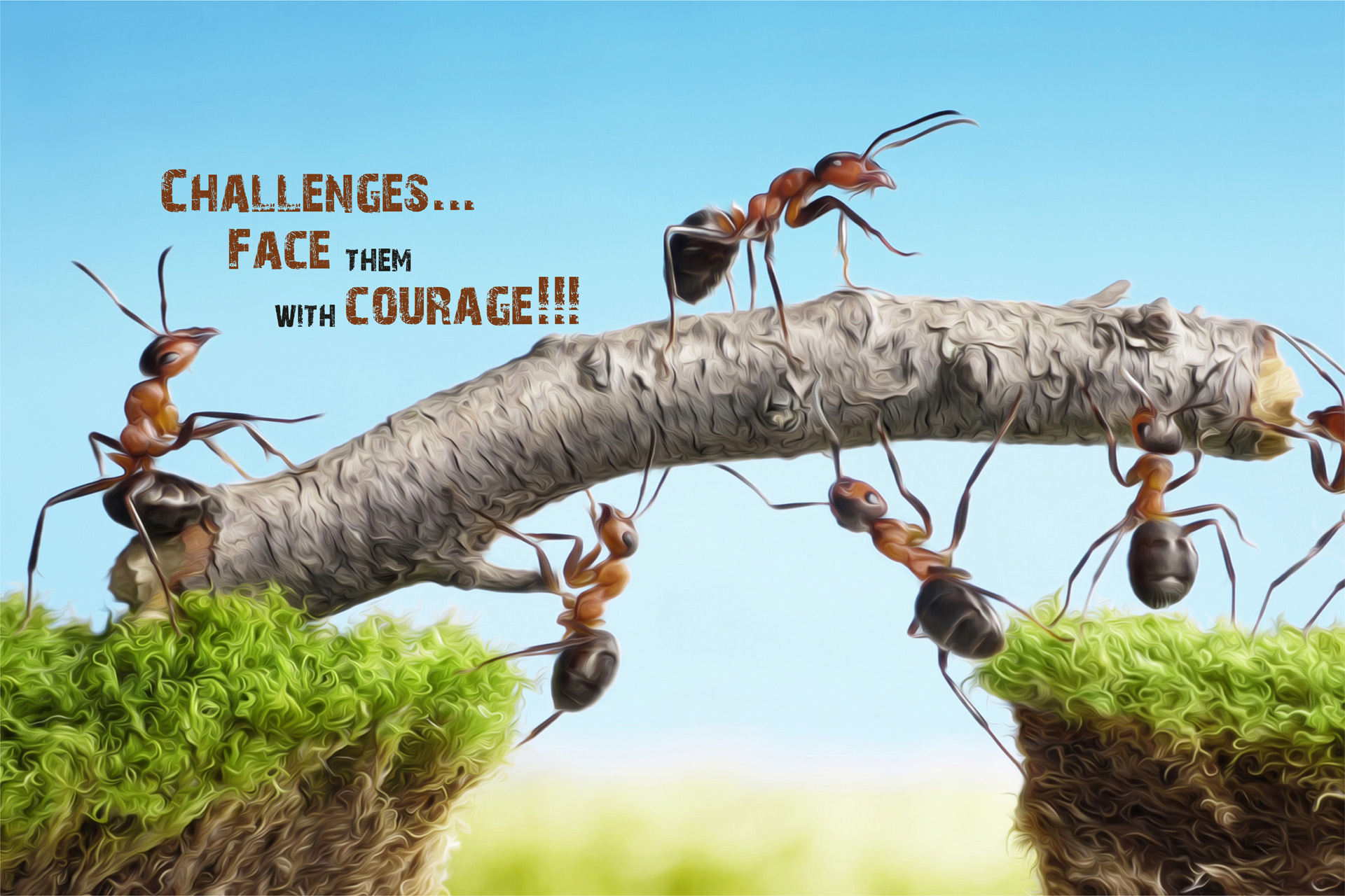 aimtech-banner-3
